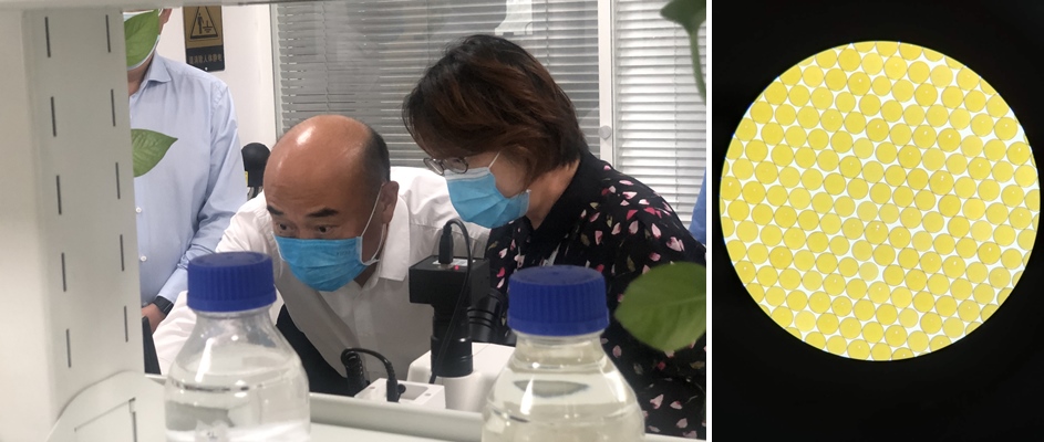 陕西省省长刘国中、西安市市长李明远一行调研高陵钱能钱包产业园